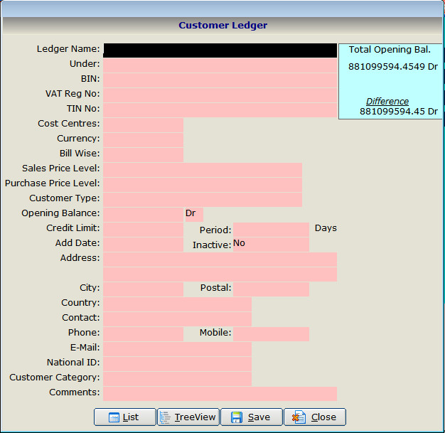 Customer Ledger